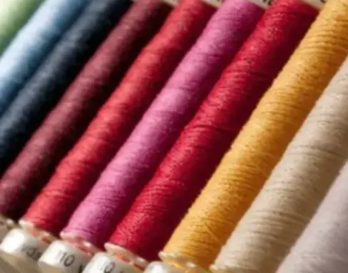 broderie pour vêtement Alençon-3