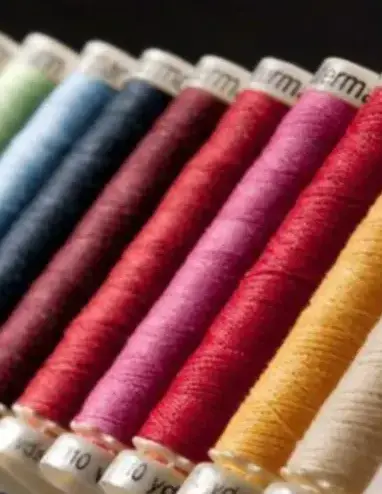 broderie pour vêtement Cerisé-4